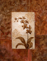 Small/B20533.jpg