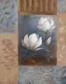 Small/B20535.jpg