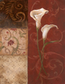 Small/B20554.jpg