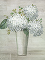 Small/B49195.jpg